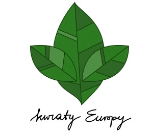  Kwiaty Europy 